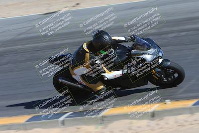 media/Feb-03-2024-SoCal Trackdays (Sat) [[767c60a41c]]/10-Turn 10 Inside (130pm)/